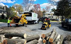 Best Organic Lawn Care Solutions  in Lindale, TX