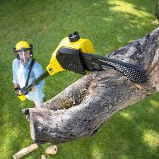 Best Weed Control  in Lindale, TX